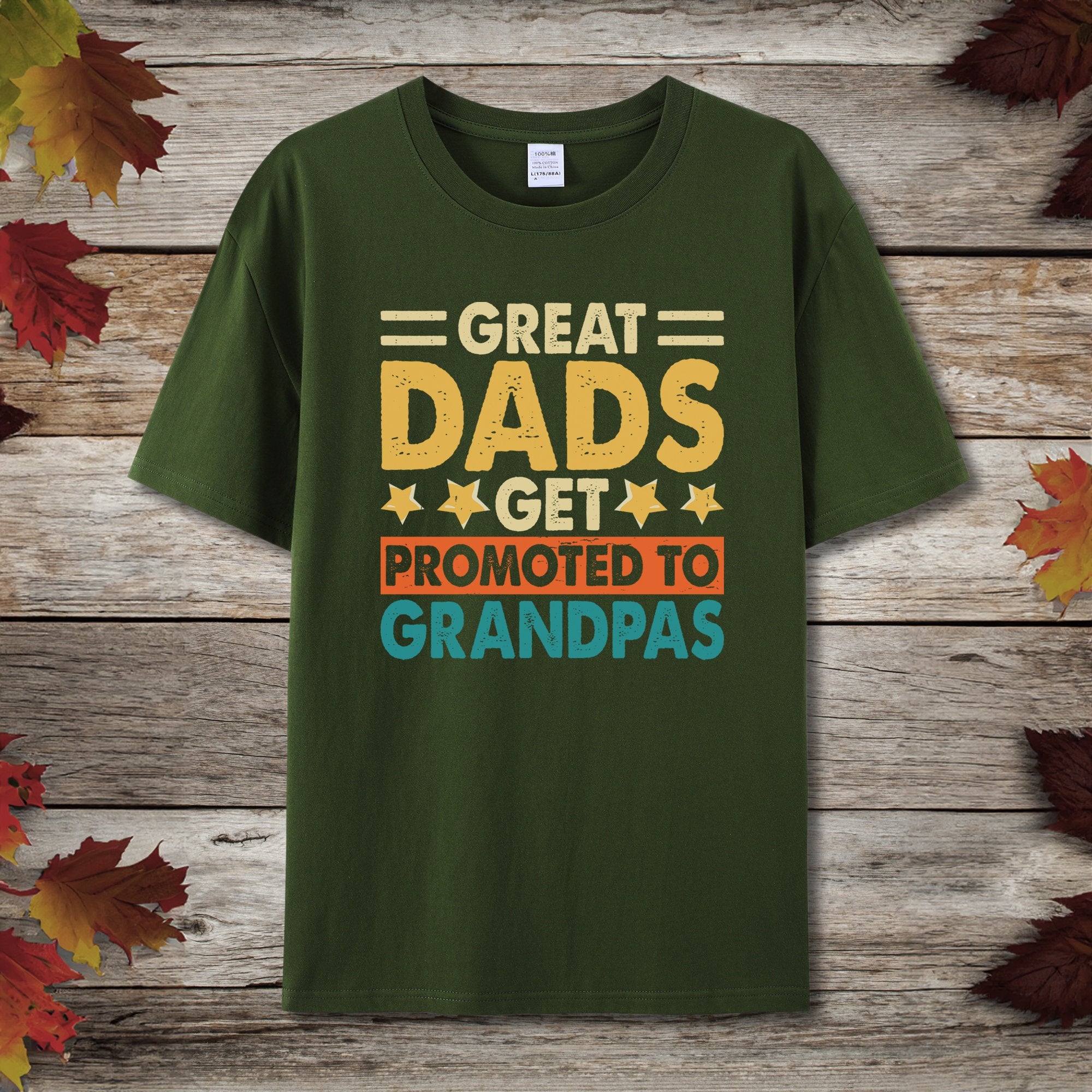 Dad Promoted To Grandpa T-Shirt