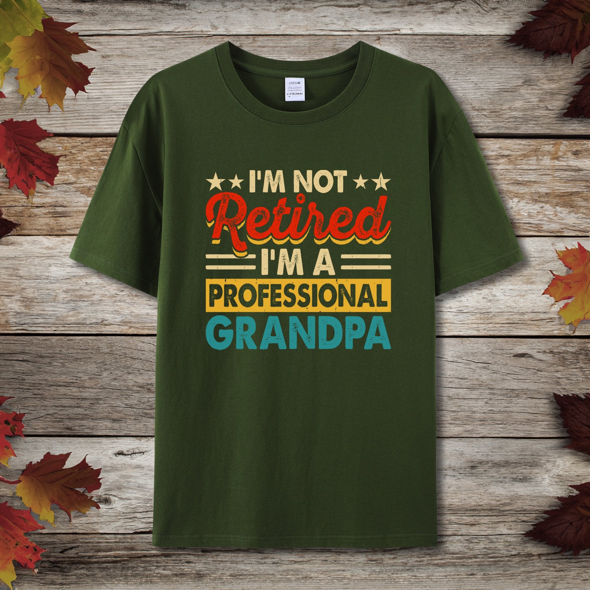 Professional Grandpa T-Shirt